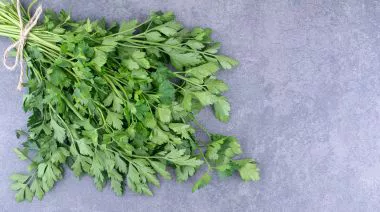 garnishing-instructions-image